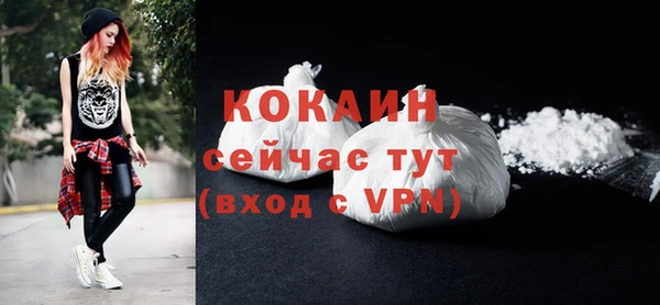 ешки Новозыбков