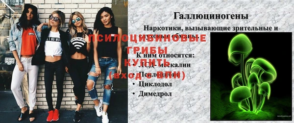 прущие крисы Алзамай